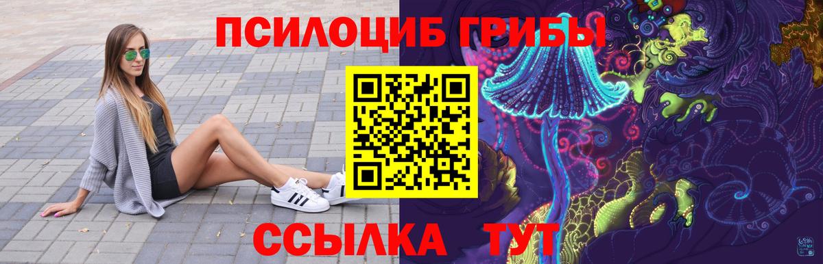 Псилоцибиновые грибы GOLDEN TEACHER  Псилоцибиновые грибы Cubensis  Бузулук  Вход с VPN 